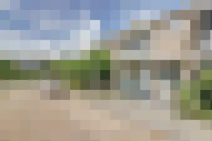 Elzenlaan 22 Dordrecht thumbnail 6