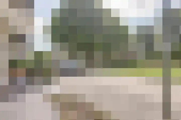 Elzenlaan 22 Dordrecht thumbnail 9