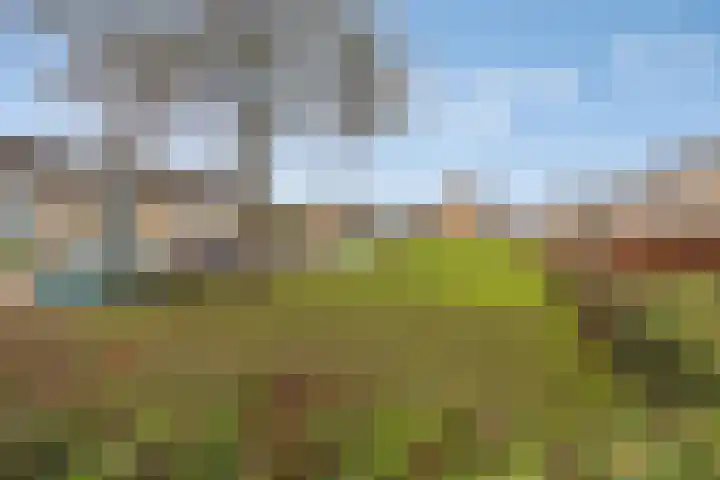 Elzenlaan 22 Klaaswaal foto 2