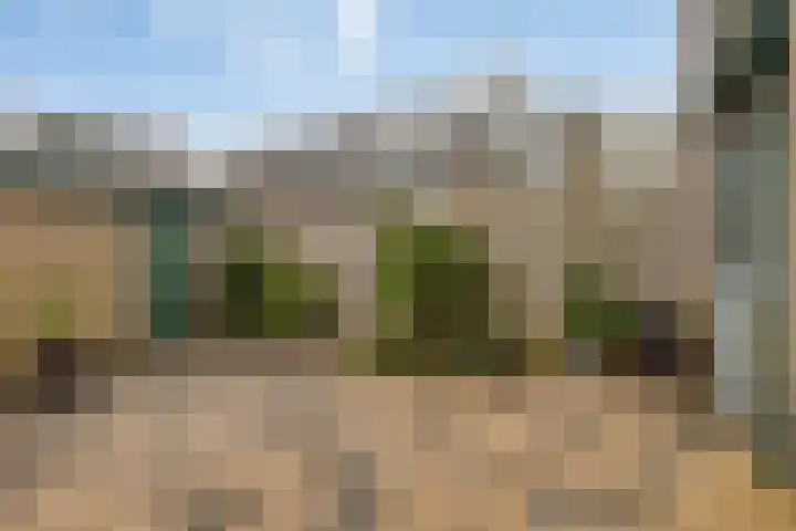 Elzenlaan 22 Klaaswaal thumbnail 22