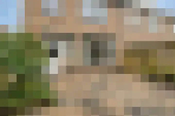 Elzenlaan 22 Klaaswaal foto 3