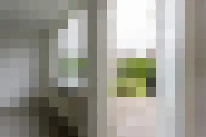 Elzenlaan 23 Dokkum thumbnail 13