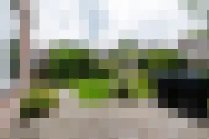 Elzenlaan 23 Dokkum thumbnail 30