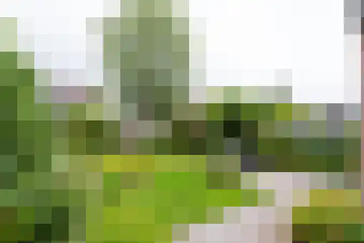Elzenlaan 23 Dokkum thumbnail 31