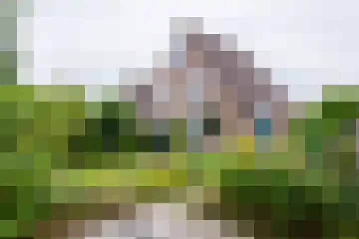 Elzenlaan 23 Dokkum thumbnail 33