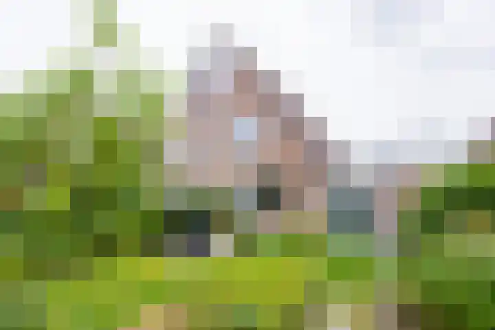 Elzenlaan 23 Dokkum thumbnail 34