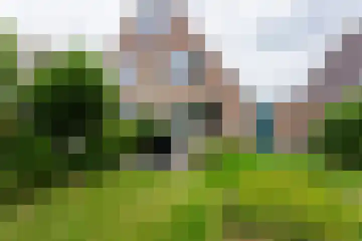 Elzenlaan 23 Dokkum thumbnail 35
