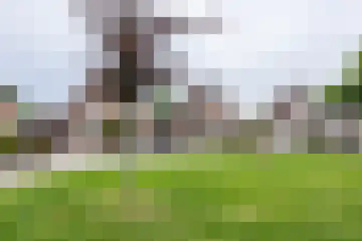 Elzenlaan 23 Dokkum thumbnail 36