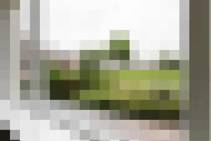 Elzenlaan 23 Dokkum thumbnail 9