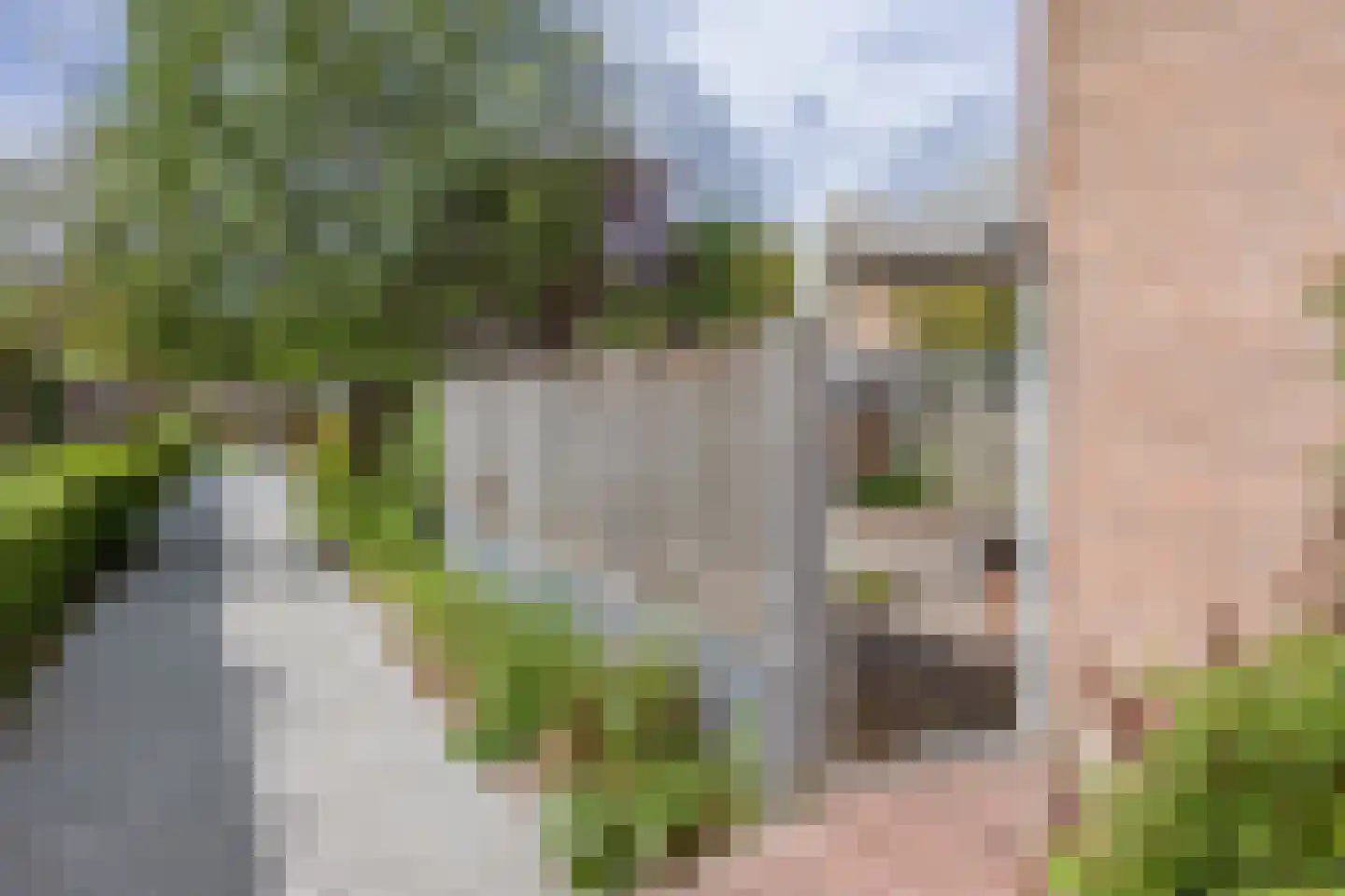 Elzenlaan 24 Groningen thumbnail 32