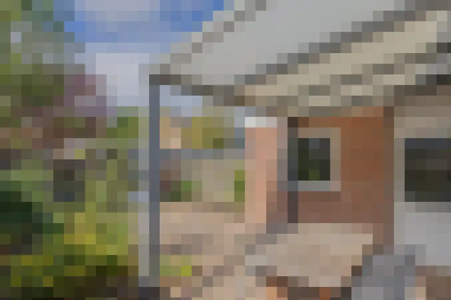 Elzenlaan 24 Groningen thumbnail 33
