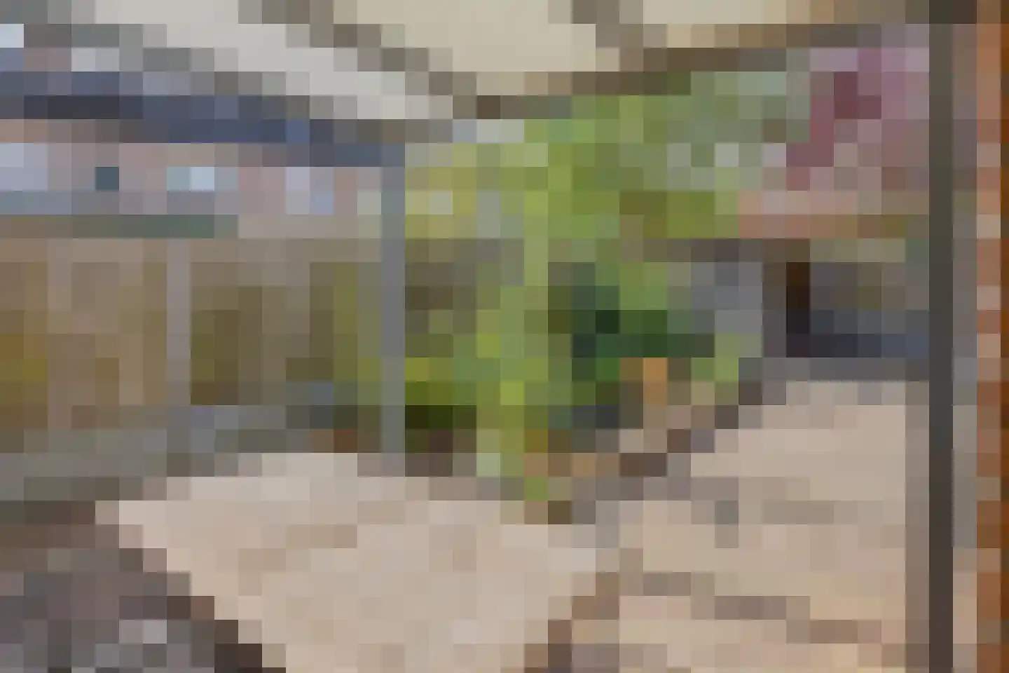 Elzenlaan 24 Groningen thumbnail 34