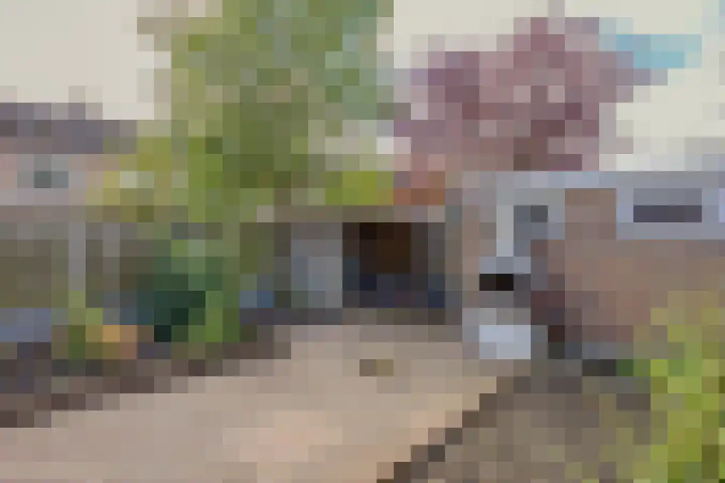 Elzenlaan 24 Groningen thumbnail 35