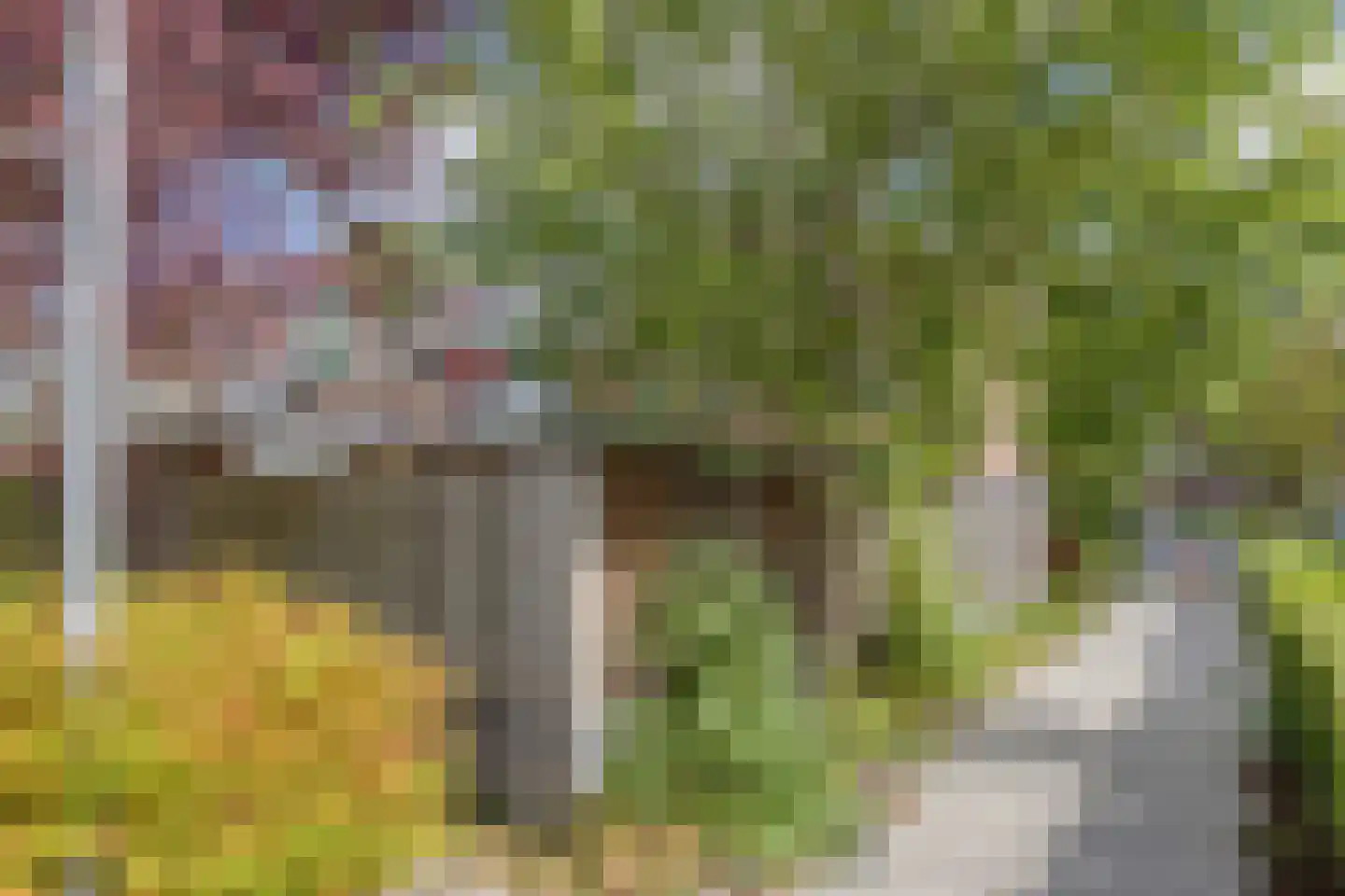 Elzenlaan 24 Groningen thumbnail 40