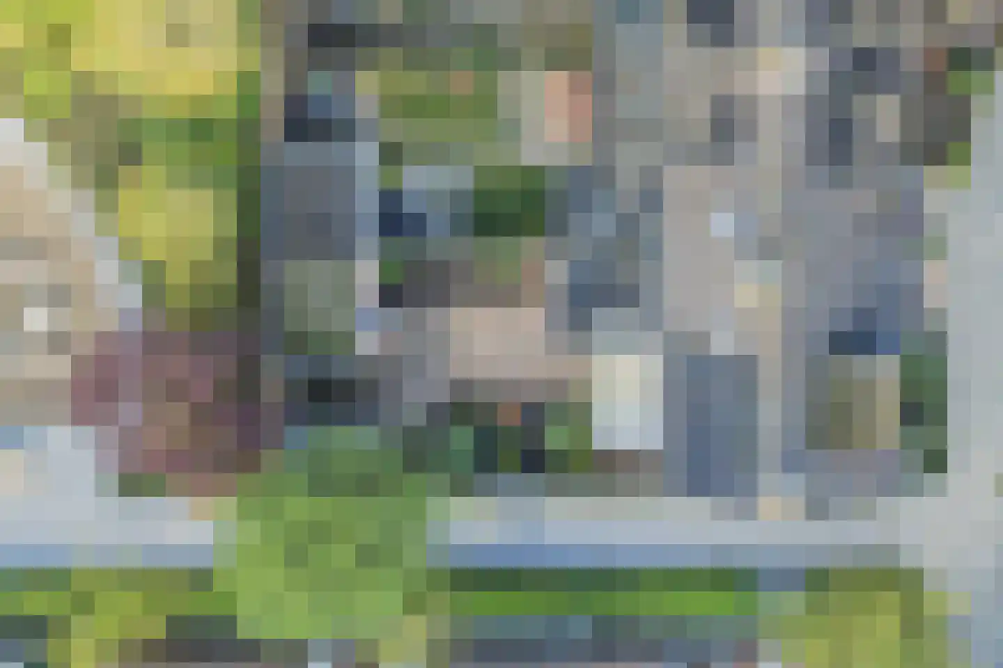Elzenlaan 24 Groningen thumbnail 41