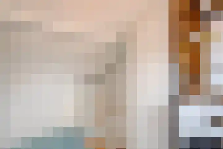 Elzenlaan 25 Zwolle thumbnail 19