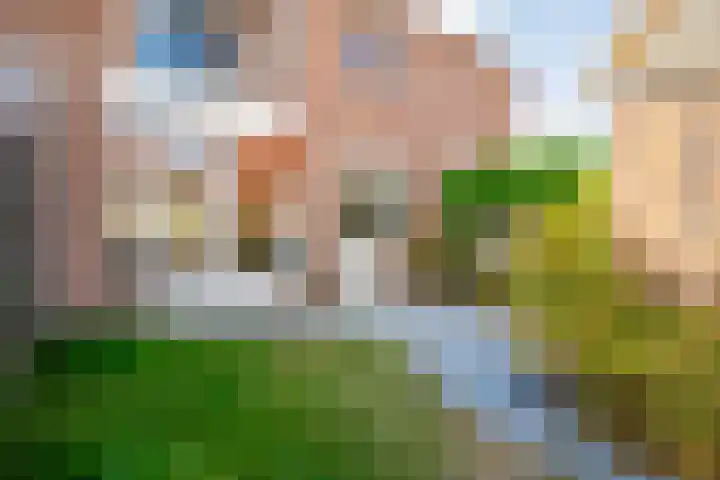 Elzenlaan 25 Zwolle thumbnail 23