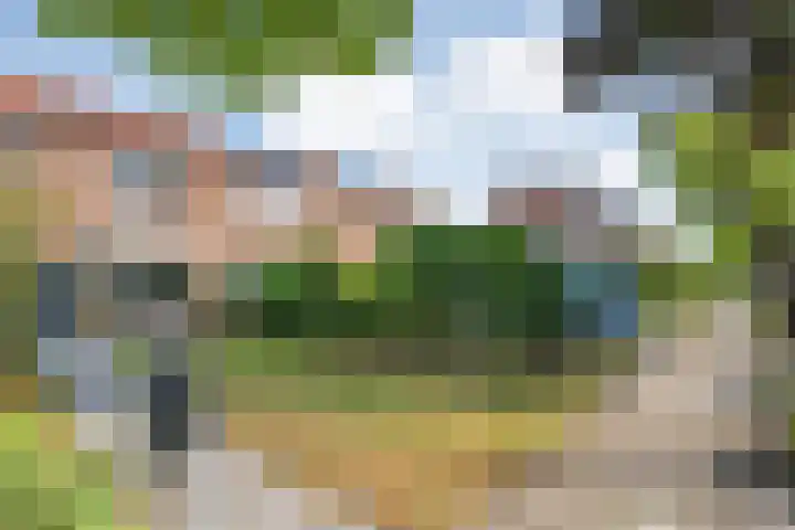 Elzenlaan 25 Zwolle thumbnail 25
