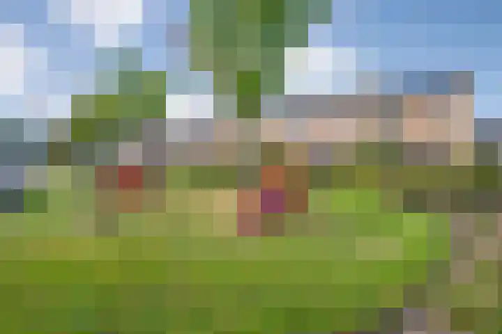 Elzenlaan 25 Zwolle thumbnail 26