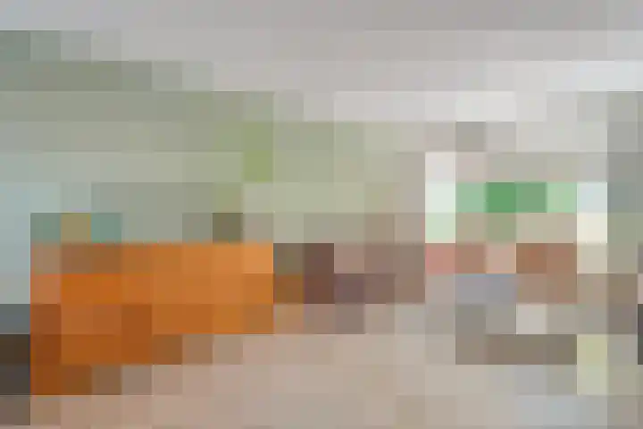 Elzenlaan 25 Zwolle thumbnail 4
