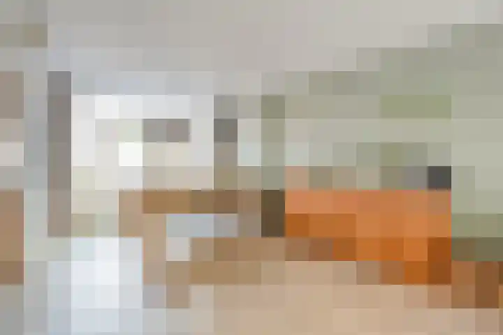 Elzenlaan 25 Zwolle thumbnail 6