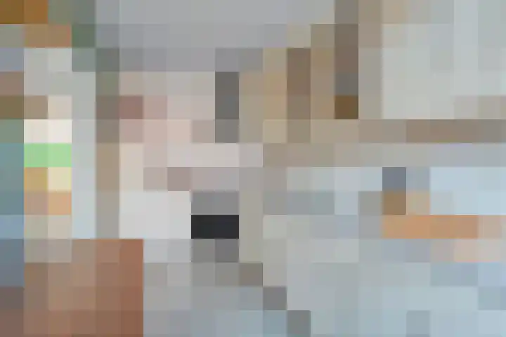 Elzenlaan 25 Zwolle thumbnail 8