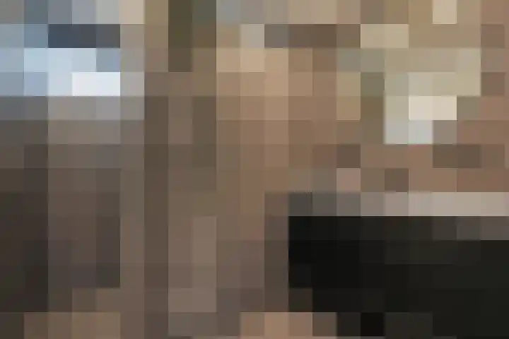 Elzenlaan 28 Hoevelaken thumbnail 23