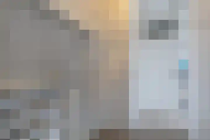 Elzenlaan 28 Hoevelaken thumbnail 25