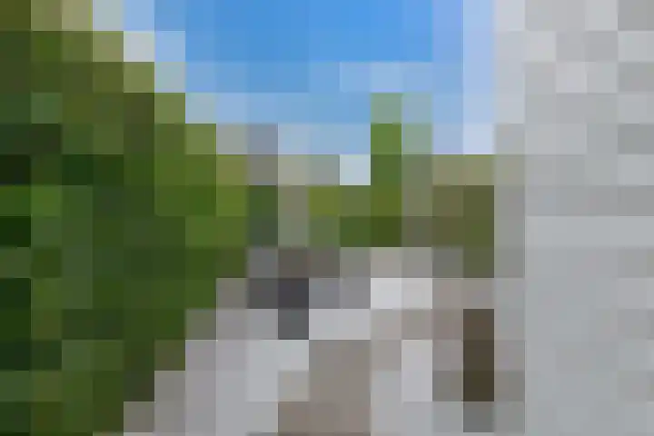 Elzenlaan 28 Hoevelaken thumbnail 48