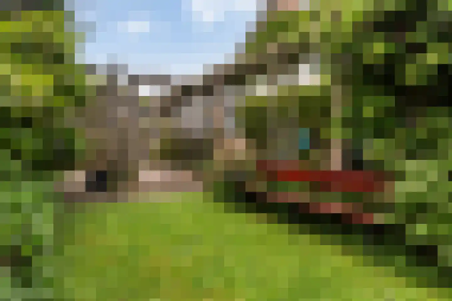 Elzenlaan 29 Dordrecht thumbnail 34