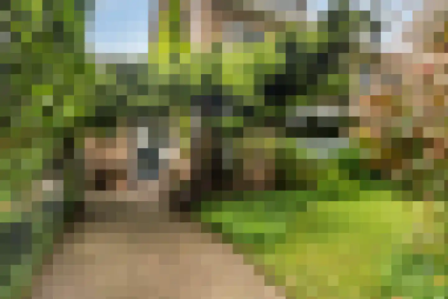 Elzenlaan 29 Dordrecht thumbnail 39