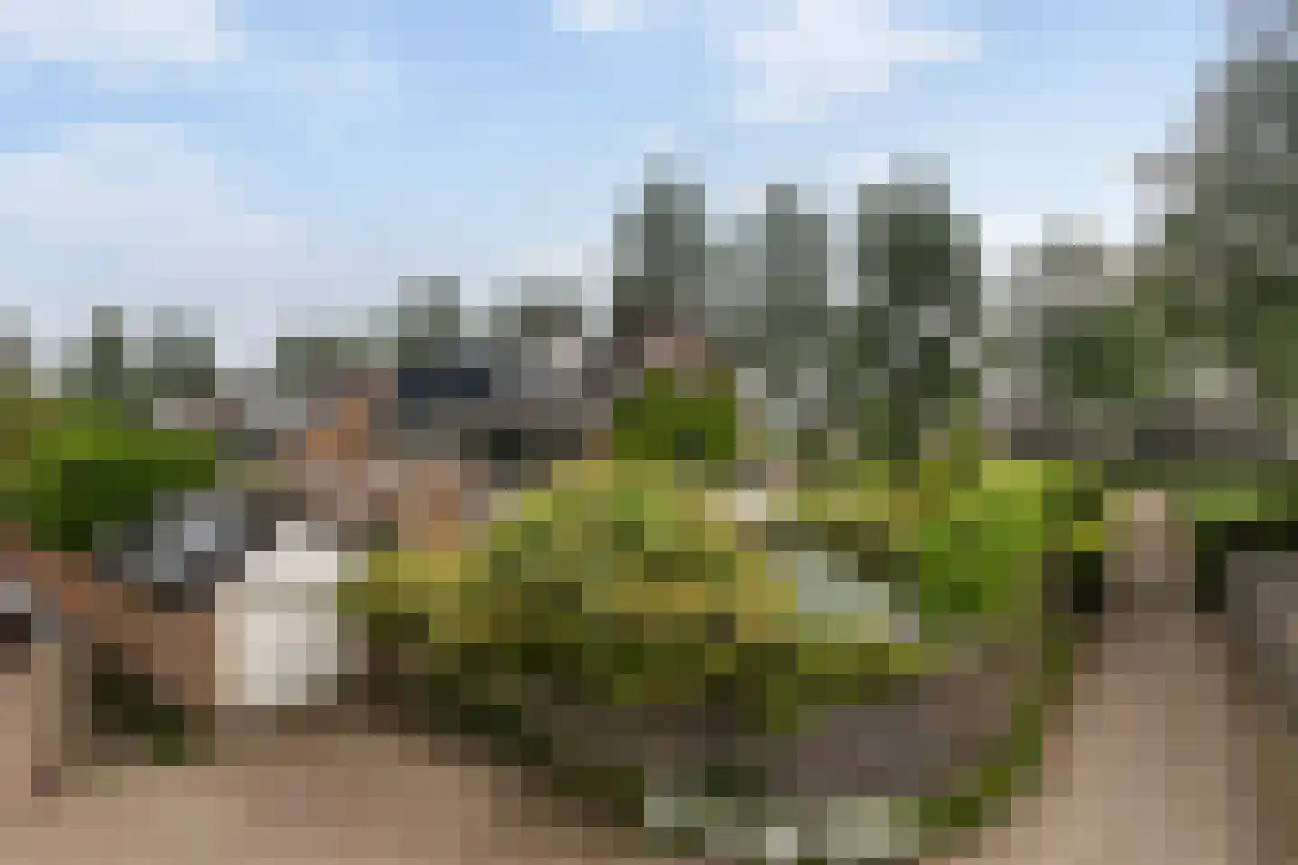 Elzenlaan 29 Dordrecht thumbnail 41