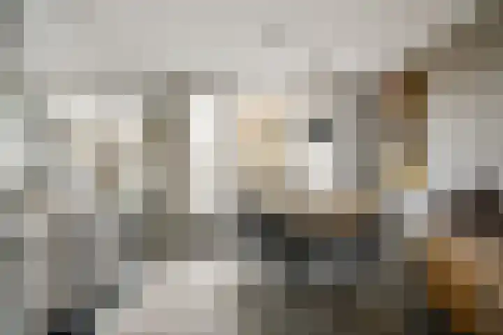 Elzenlaan 3 Klaaswaal thumbnail 10