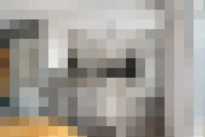 Elzenlaan 3 Klaaswaal thumbnail 11