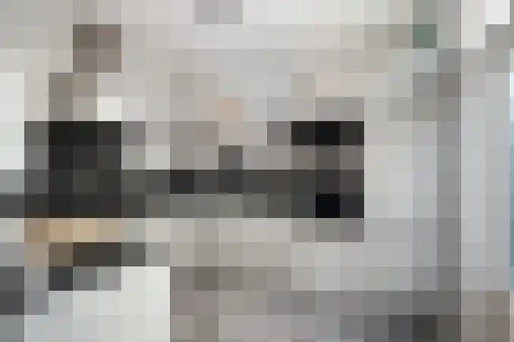 Elzenlaan 3 Klaaswaal thumbnail 12