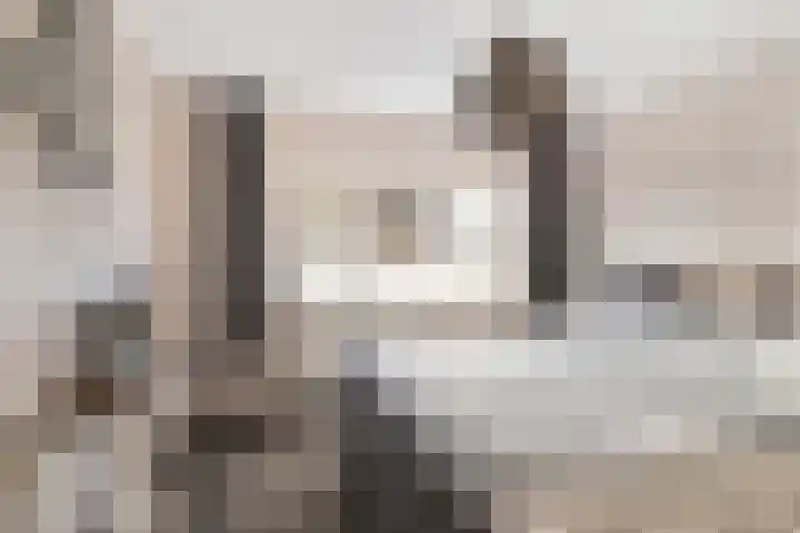 Elzenlaan 3 Klaaswaal thumbnail 19