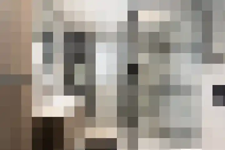 Elzenlaan 3 Klaaswaal thumbnail 26