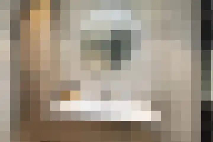 Elzenlaan 3 Klaaswaal thumbnail 27
