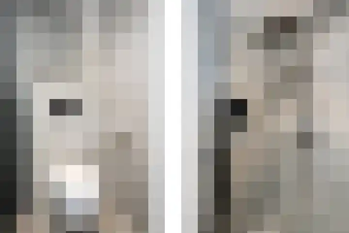Elzenlaan 3 Klaaswaal thumbnail 28