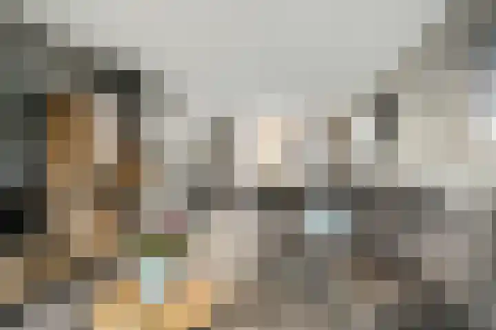 Elzenlaan 3 Klaaswaal thumbnail 9