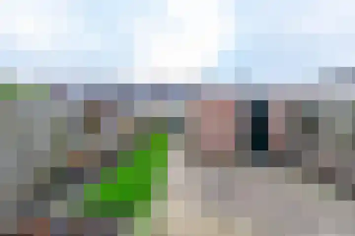 Elzenlaan 3 Winschoten thumbnail 13