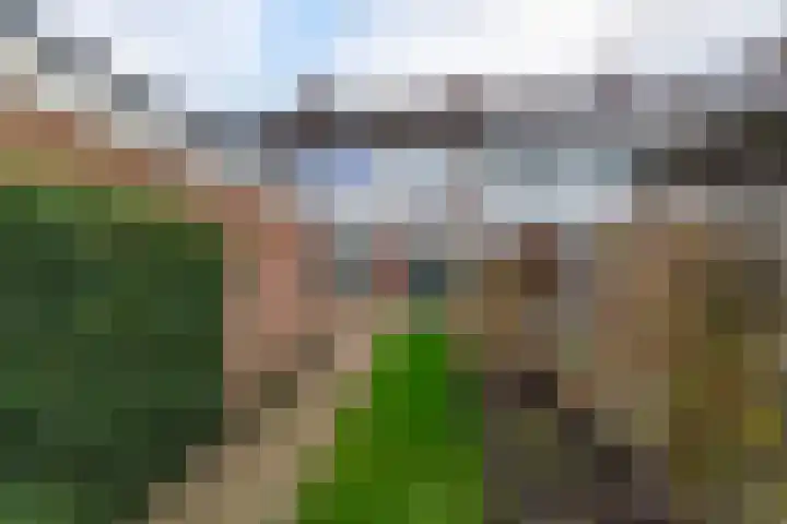 Elzenlaan 3 Winschoten thumbnail 14