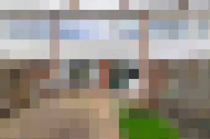 Elzenlaan 3 Winschoten thumbnail 15