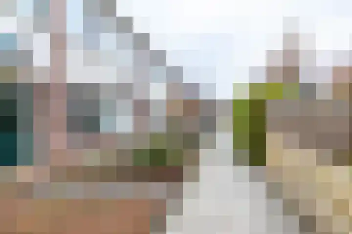 Elzenlaan 3 Winschoten thumbnail 32