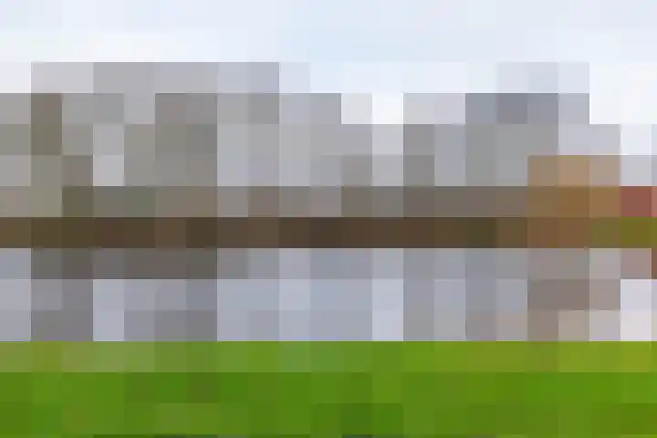 Elzenlaan 3 Winschoten thumbnail 33
