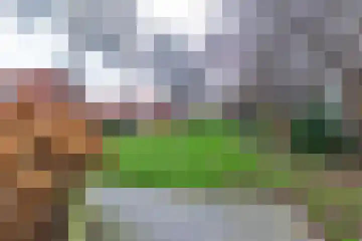 Elzenlaan 3 Winschoten thumbnail 34