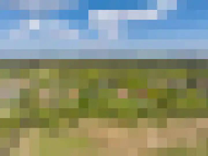 Elzenlaan 30 Bergen aan Zee thumbnail 32