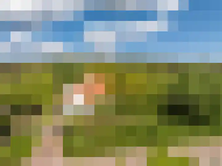 Elzenlaan 30 Bergen aan Zee thumbnail 33