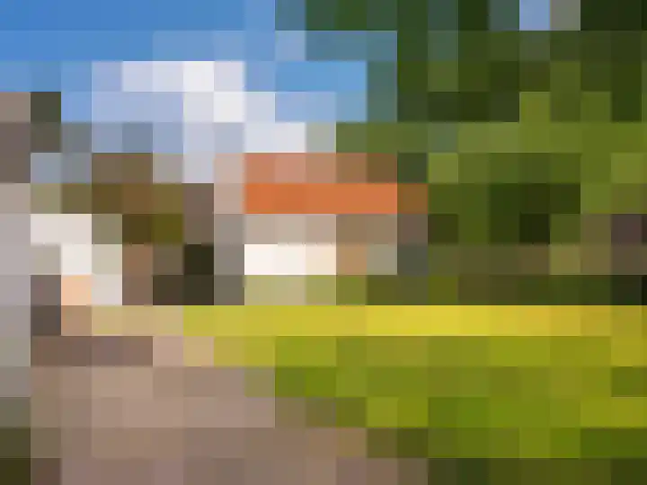 Elzenlaan 30 Bergen aan Zee thumbnail 38