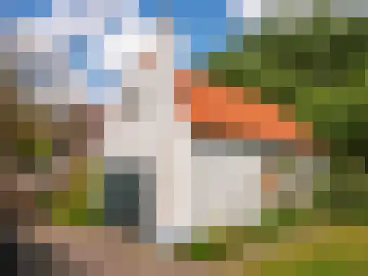 Elzenlaan 30 Bergen aan Zee thumbnail 40